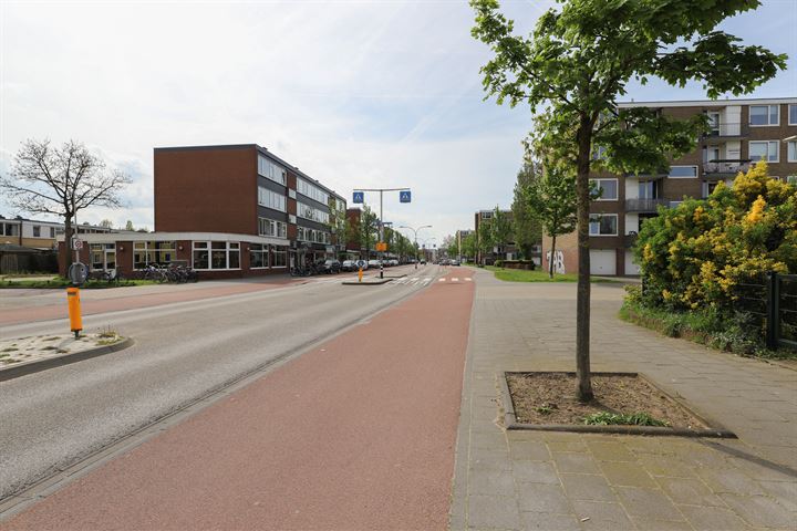 Bekijk foto 45 van Molenweg 252