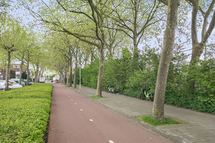 Bekijk foto 43 van Zeelsterstraat 93