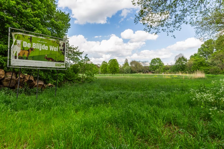 Bekijk foto 47 van Struikheide 38