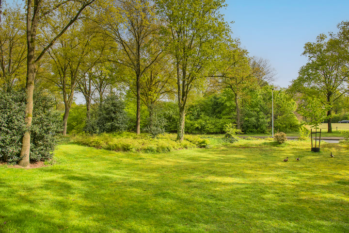 Bekijk foto 32 van Hunenborglaan 192