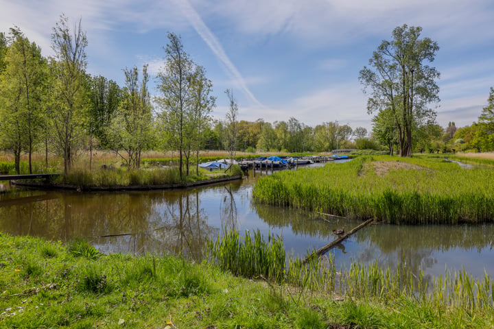 Bekijk foto 36 van Schepenlaan 144