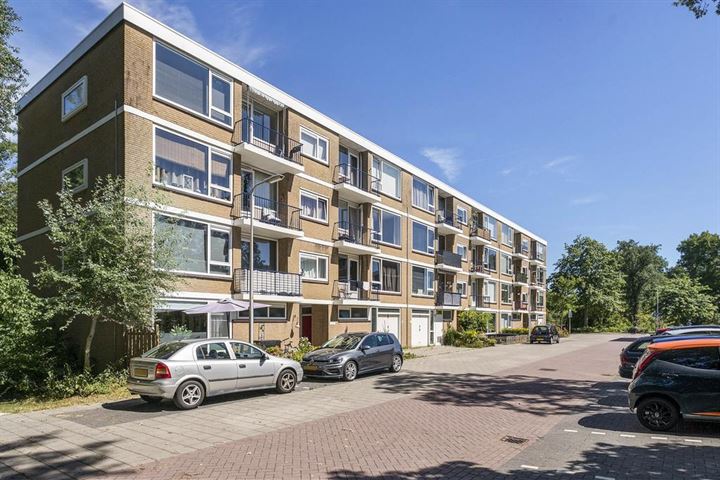 Bekijk foto 2 van Van Ostadehof 15