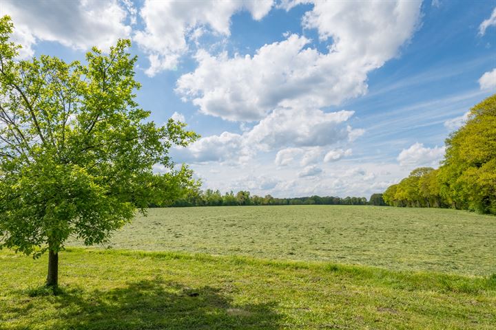 Bekijk foto 38 van Raetmansweg 20