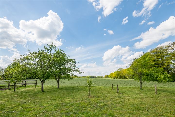 Bekijk foto 37 van Raetmansweg 20