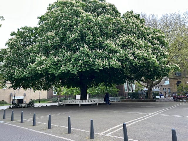 Foto 29 van Noordeinde 102-A