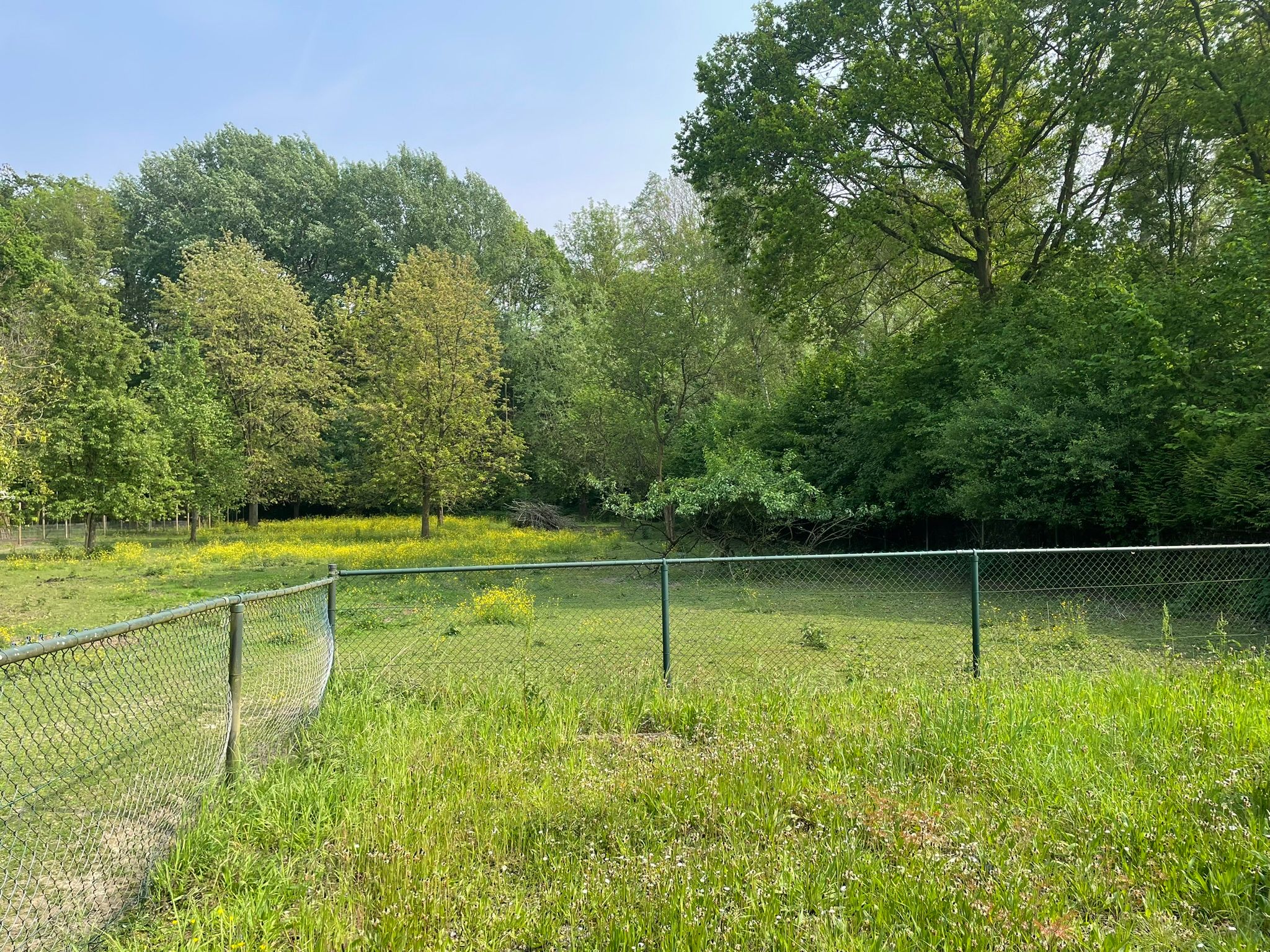 Foto 6 van Humcoverstraat