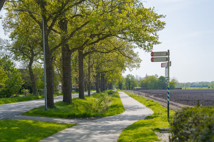 Bekijk foto 5 van Zevenhuisterweg 38