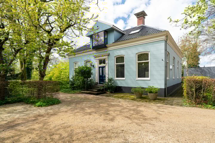 undefined main image