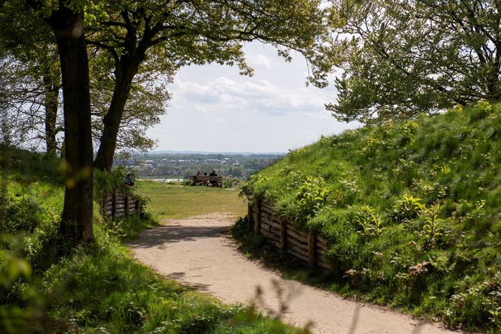 Bekijk foto 70 van Dunolaan 18