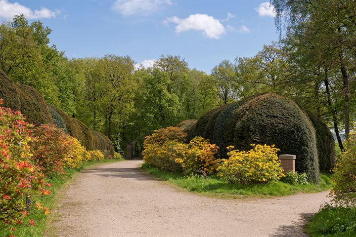 Bekijk foto 72 van Dunolaan 18