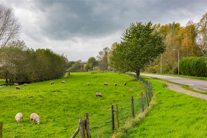 View photo 25 of Michaëlplein 36