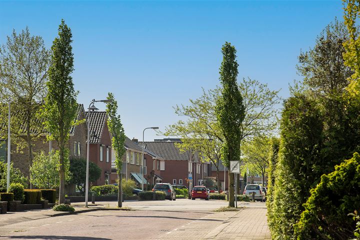 Bekijk foto 40 van Paulus Potterstraat 5