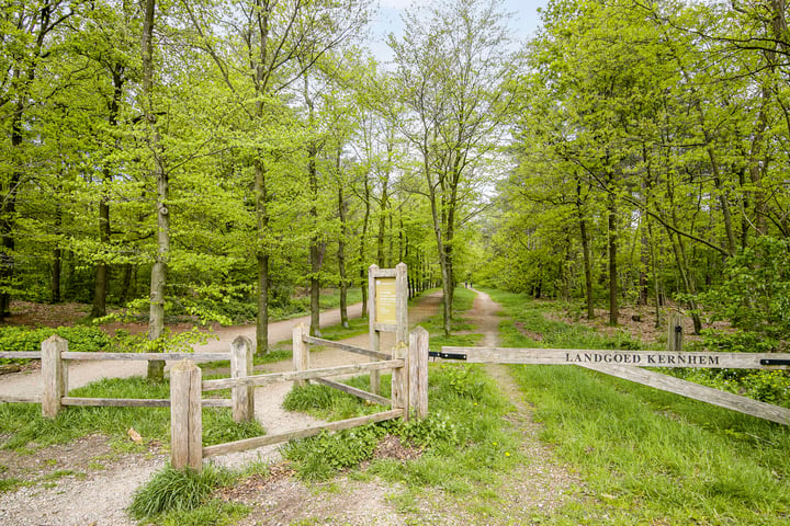 Bekijk foto 32 van Graaf Bentincklaan 3