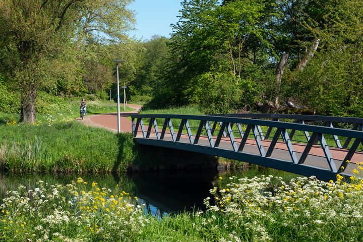 Bekijk foto 21 van IJpenbroekweg 6