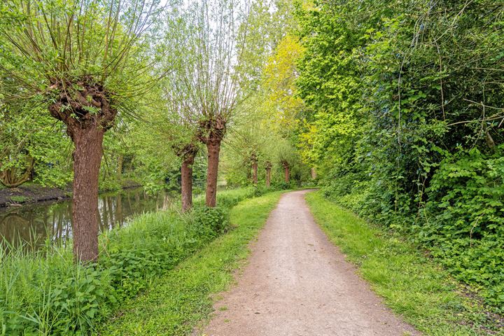 Bekijk foto 49 van Breitnerhof 14