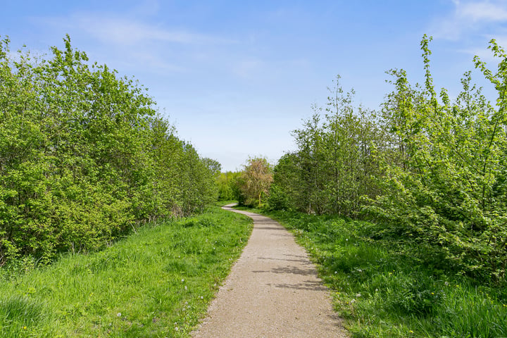 Bekijk foto 5 van Rotterdambaan 19