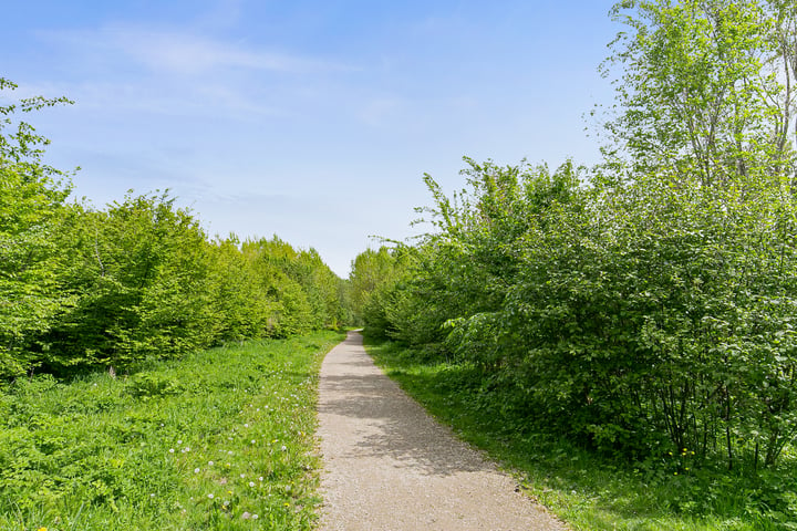 Bekijk foto 30 van Rotterdambaan 19