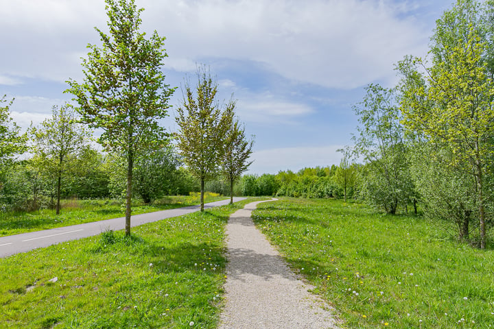 Bekijk foto 31 van Rotterdambaan 19