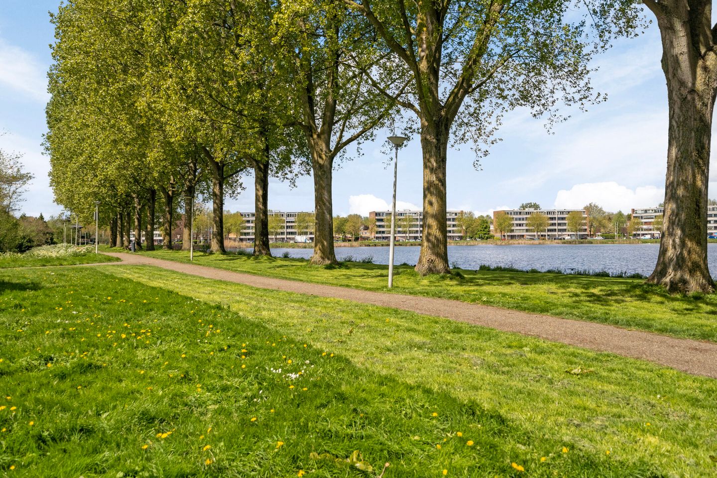 Photo 20 of Ringvaartweg