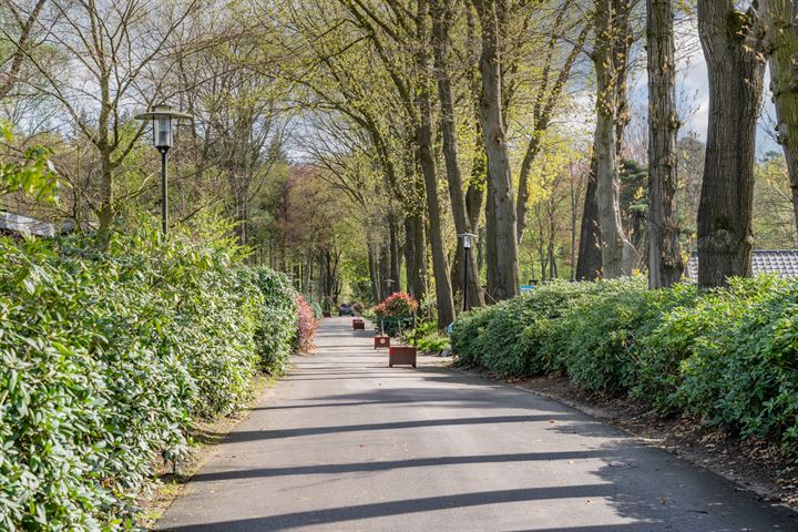 Bekijk foto 29 van Immenweg 15-324