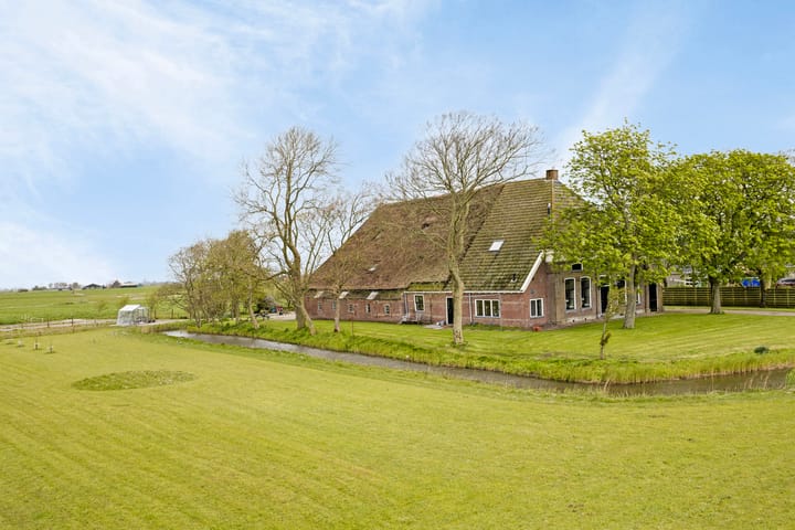 Foto 6 van Hoptille 6