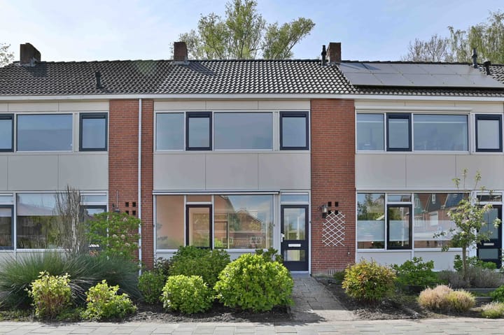 undefined main image