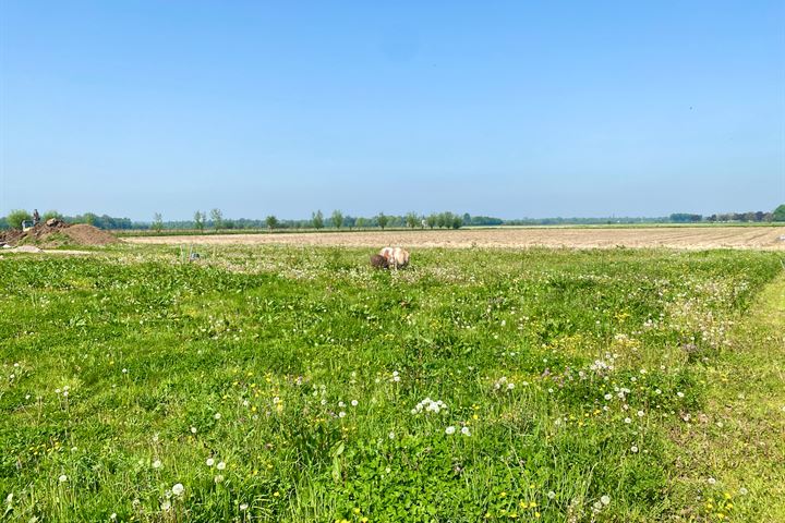 Bekijk foto 13 van Zeelandsestraat 70-C