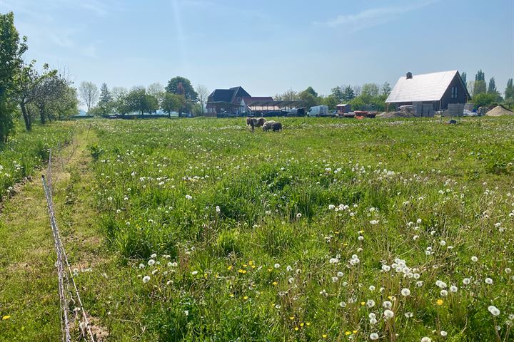 Bekijk foto 16 van Zeelandsestraat 70-C