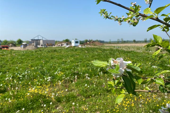 Bekijk foto 15 van Zeelandsestraat 70-C