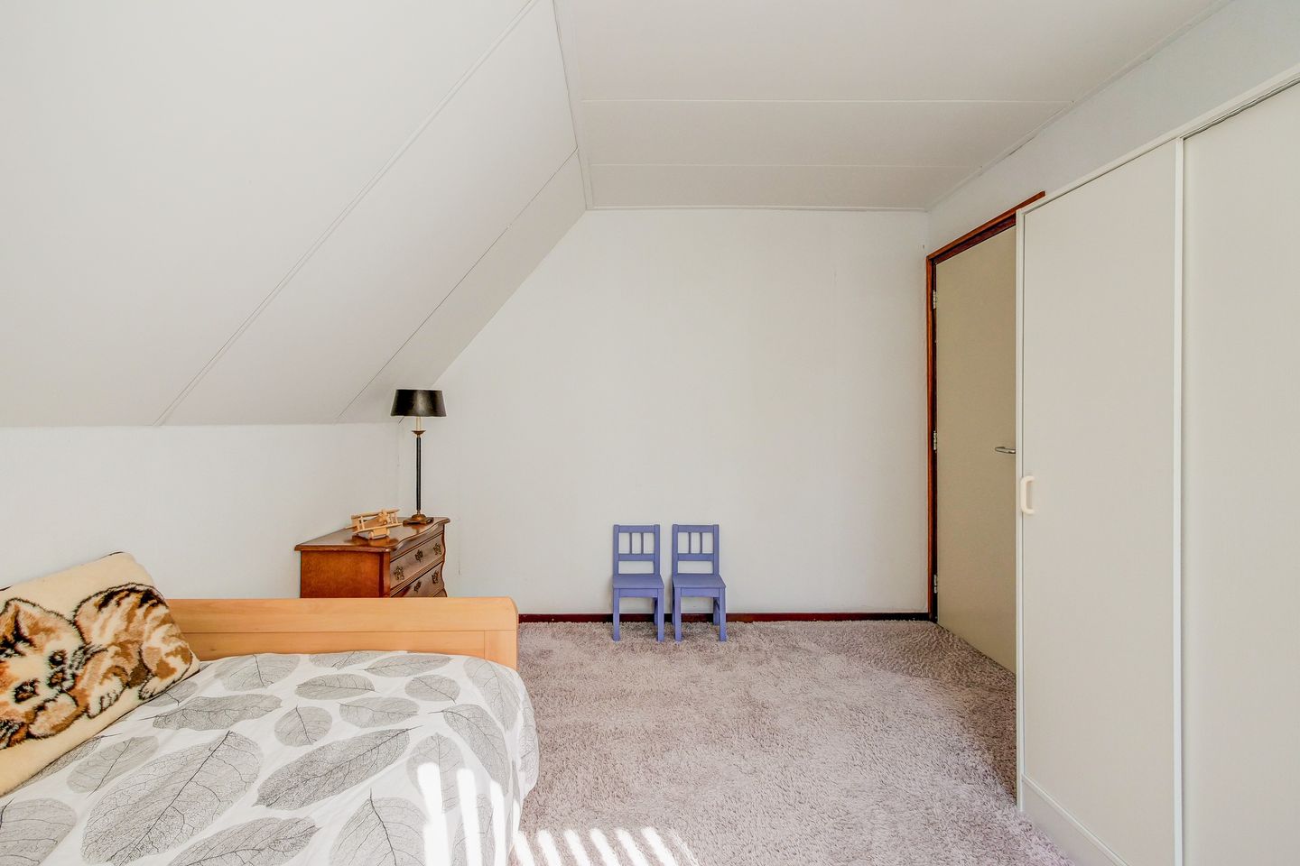 Foto 19 van Leeuwetand 27