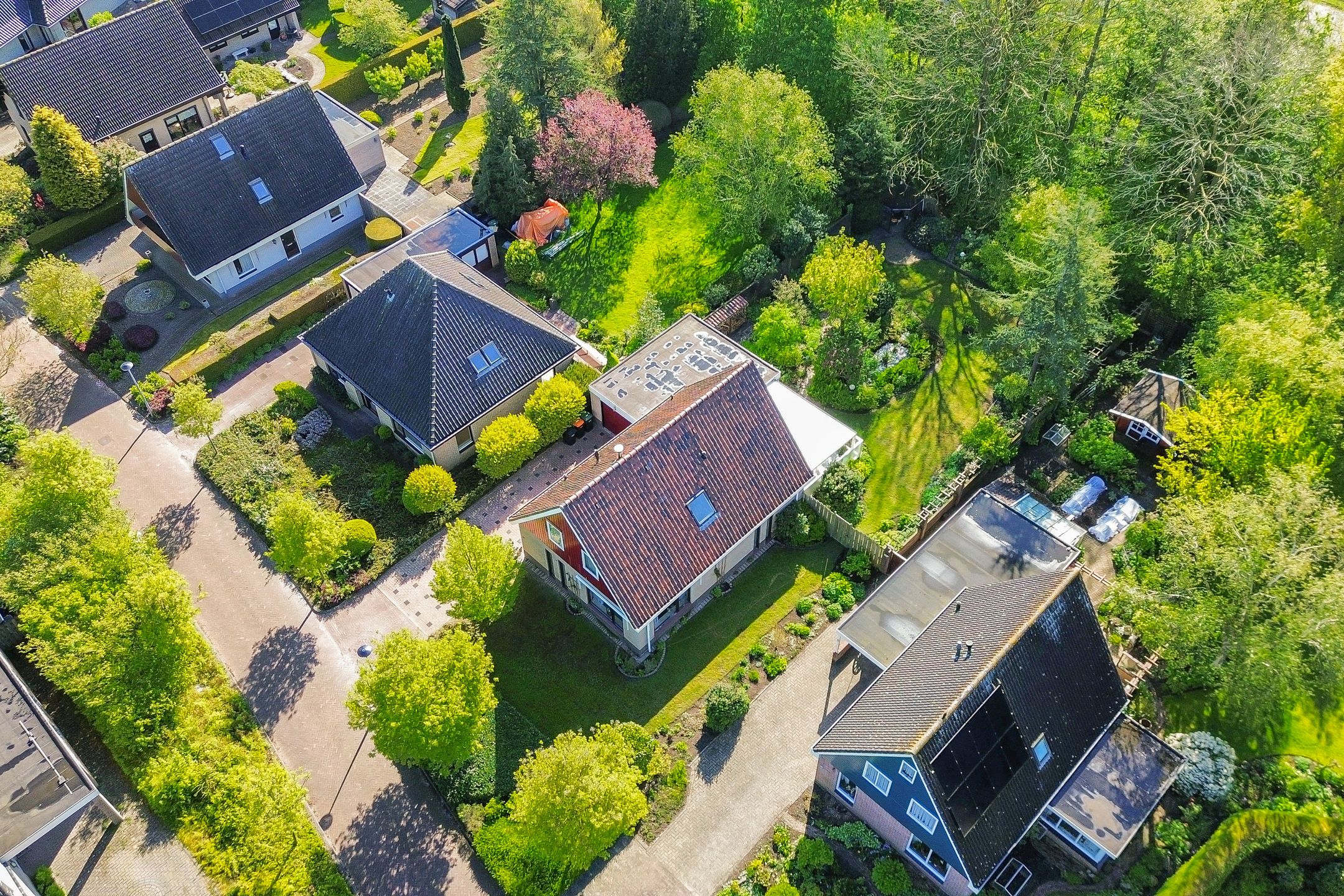 Foto 6 van Leeuwetand 27