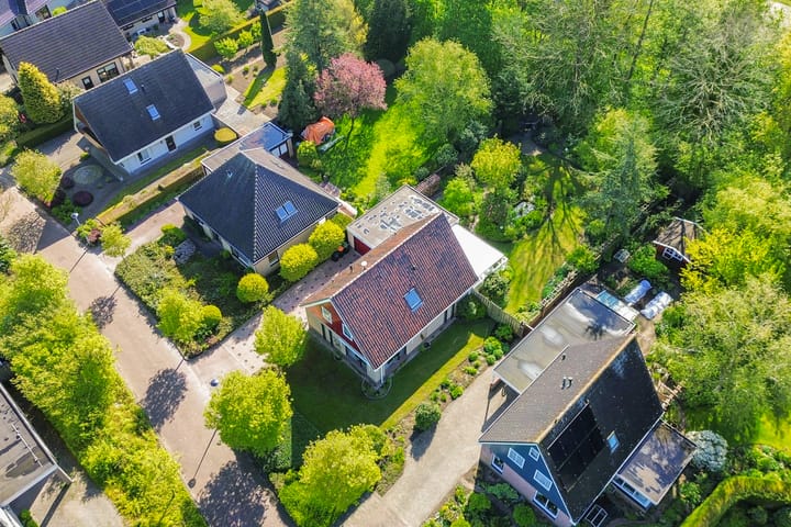 Foto 6 van Leeuwetand 27