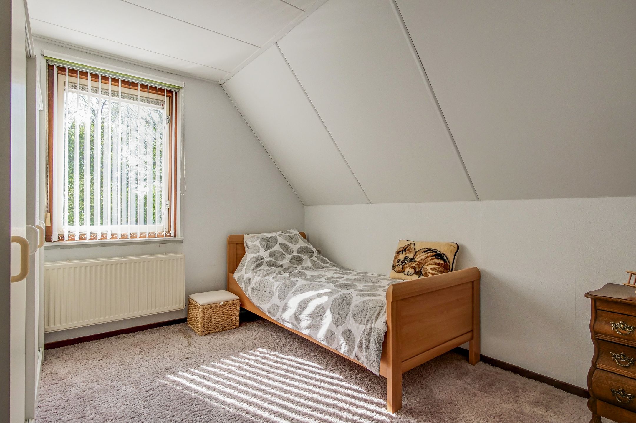 Foto 18 van Leeuwetand 27