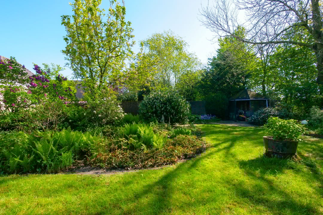 Foto 26 van Leeuwetand 27