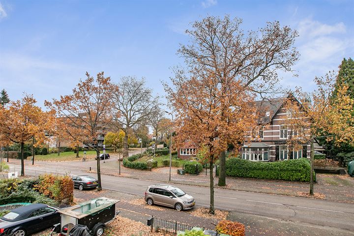 Bekijk foto 38 van Brinklaan 154