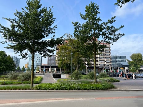 undefined main image