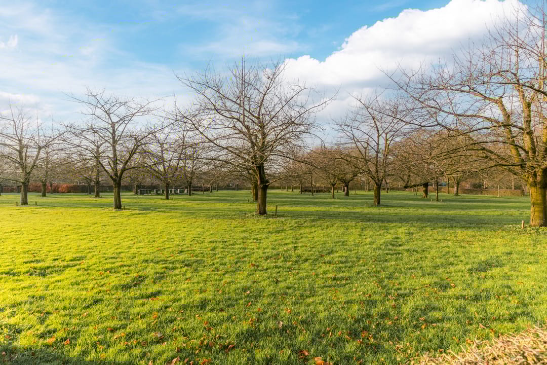 Foto 23 van Rietbaan 54