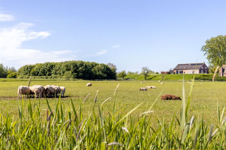 Bekijk foto 50 van Lithoijense Dijk 50