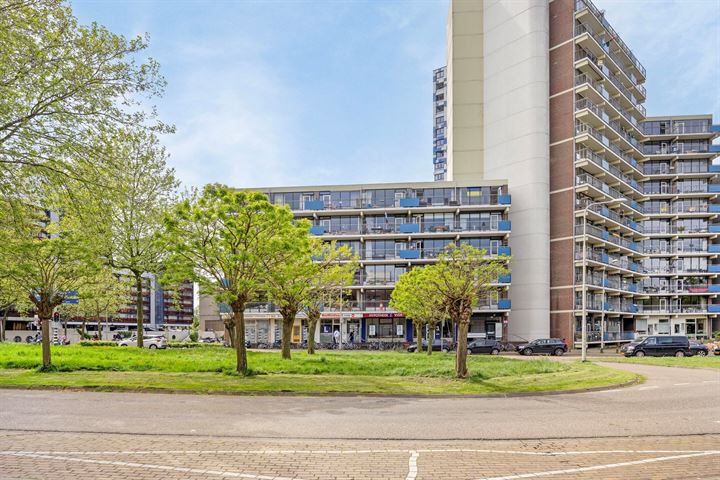 Bekijk foto 30 van Kronenburgersingel 75