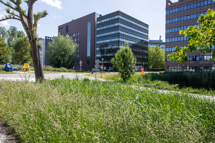 Hullenbergweg 278-308, Amsterdam