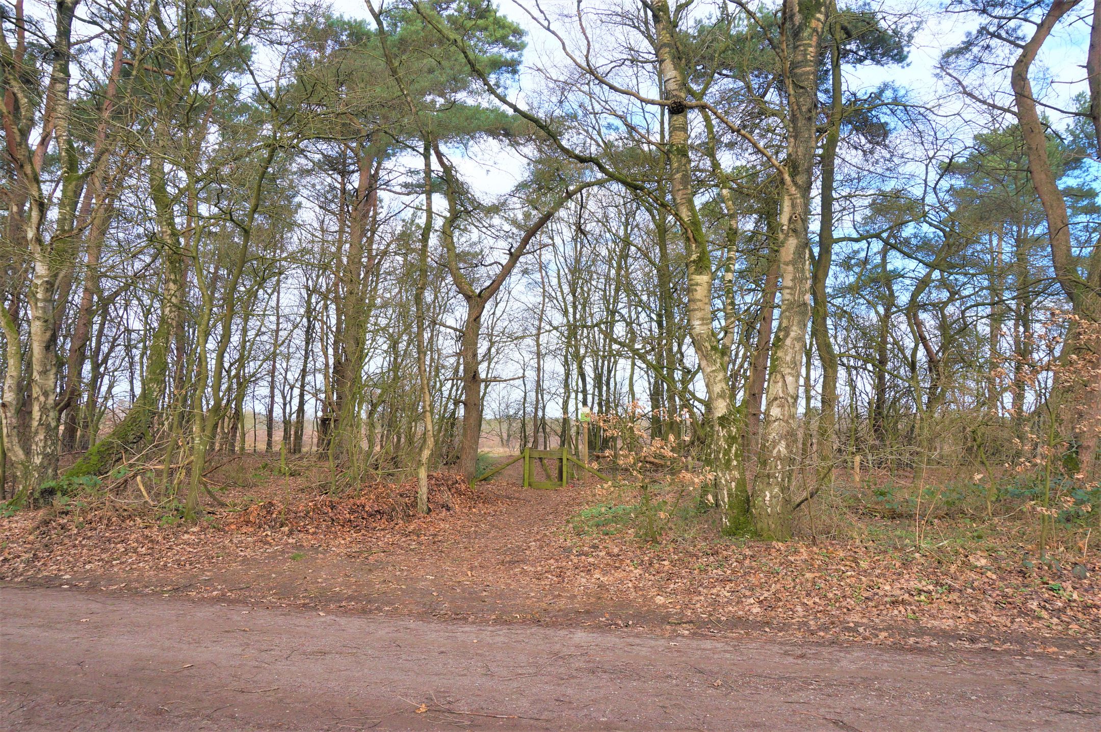 Foto 21 van Tonnenberg 53-K18