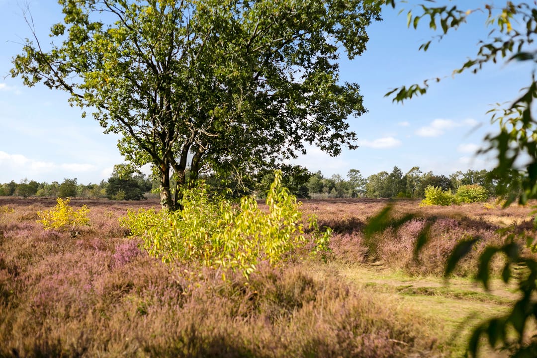 Foto 23 van Tonnenberg 53-K18