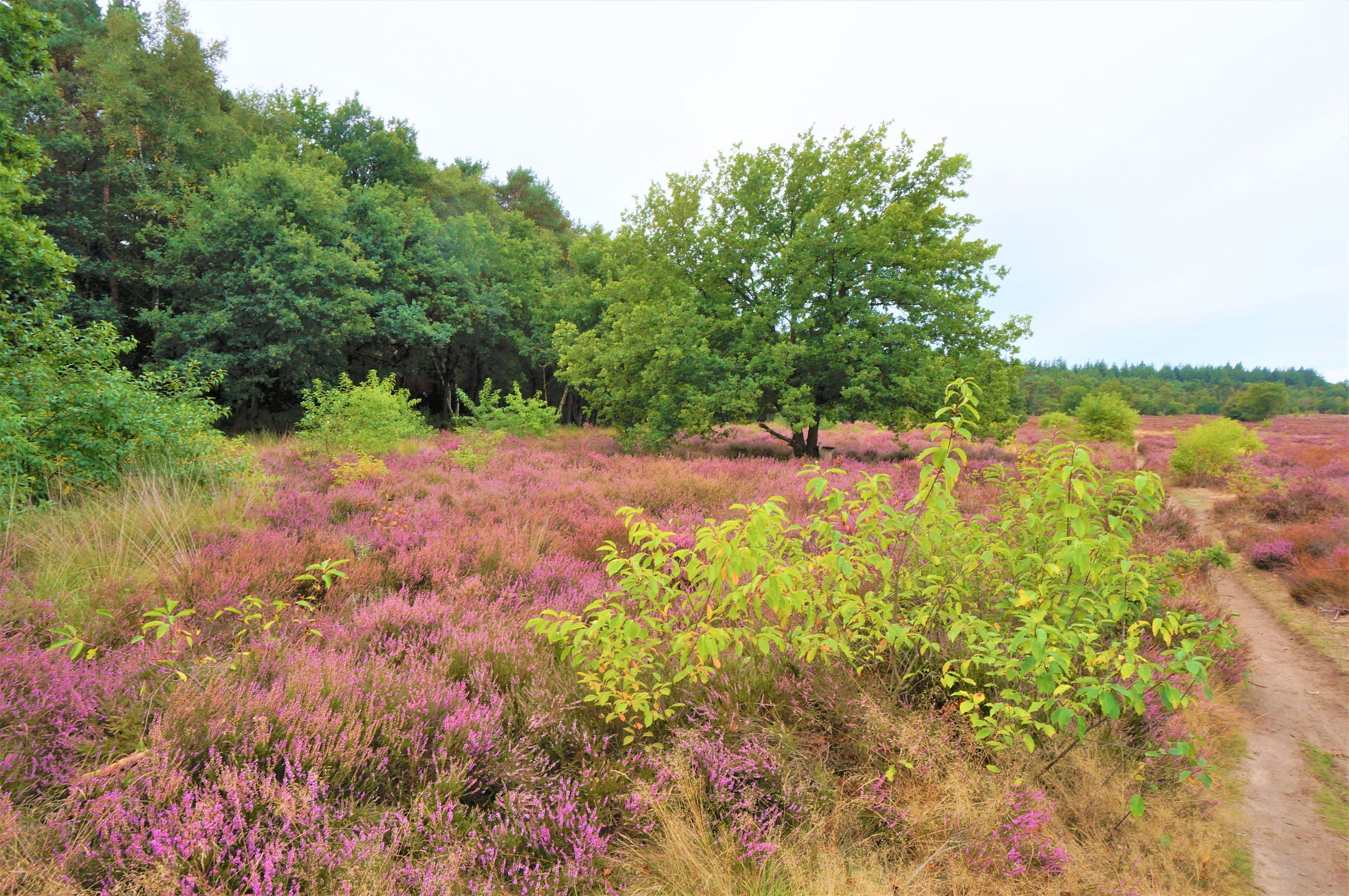 Foto 24 van Tonnenberg 53-K18