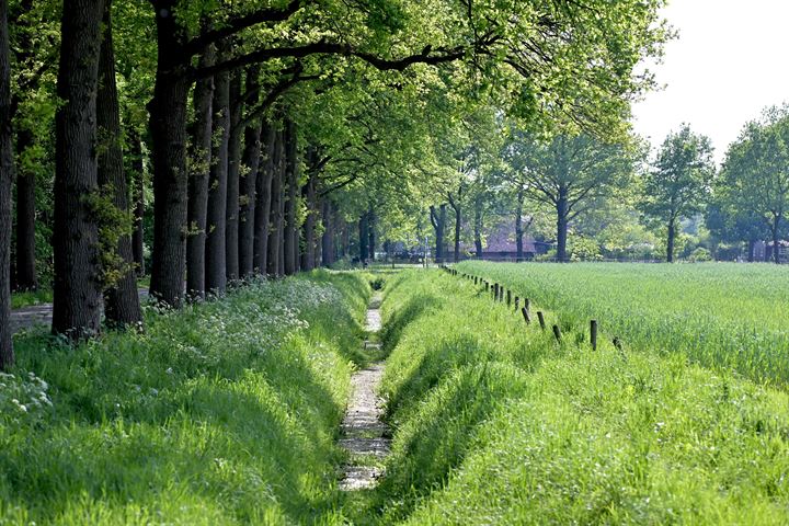 Bekijk foto 57 van Borculoseweg 17