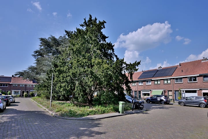 View photo 33 of Gerard Doustraat 34