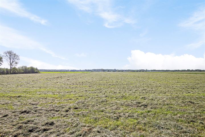 Bekijk foto 15 van Stellingenweg 31