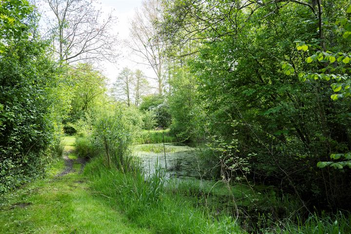 Bekijk foto 58 van Groenloseweg 56