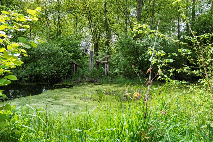 Bekijk foto 59 van Groenloseweg 56