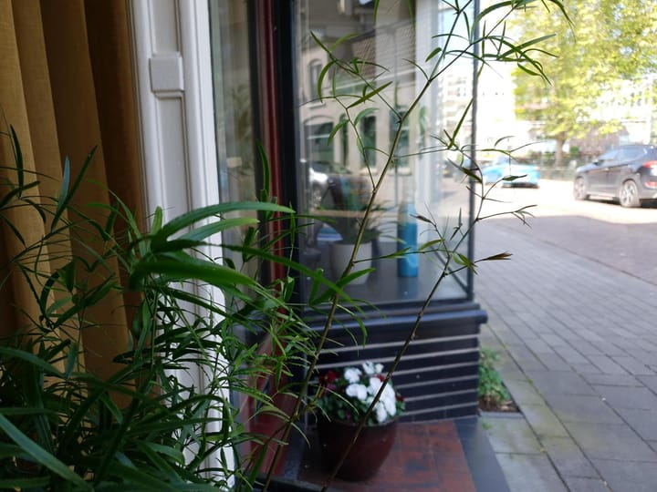 Foto 3 van Wilhelminastraat 13-B