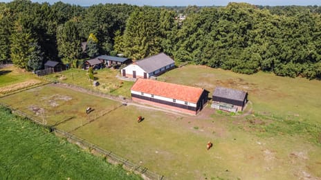 undefined main image